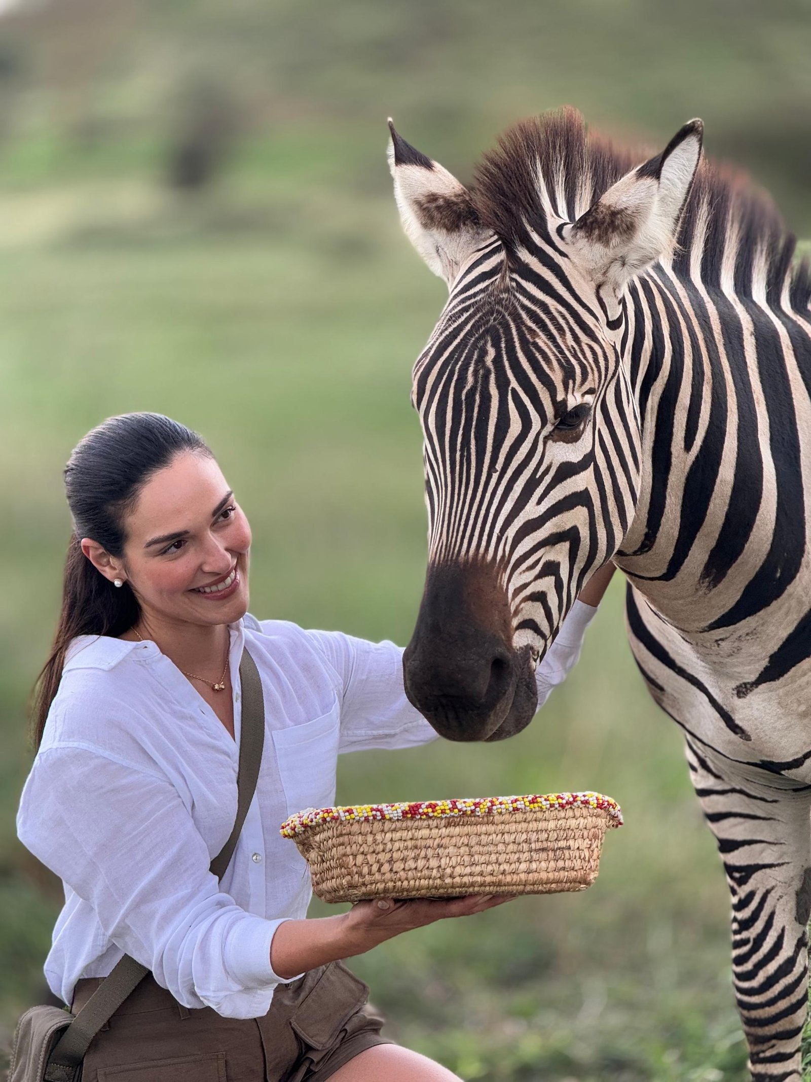 Mkomazi National Park Day Trip