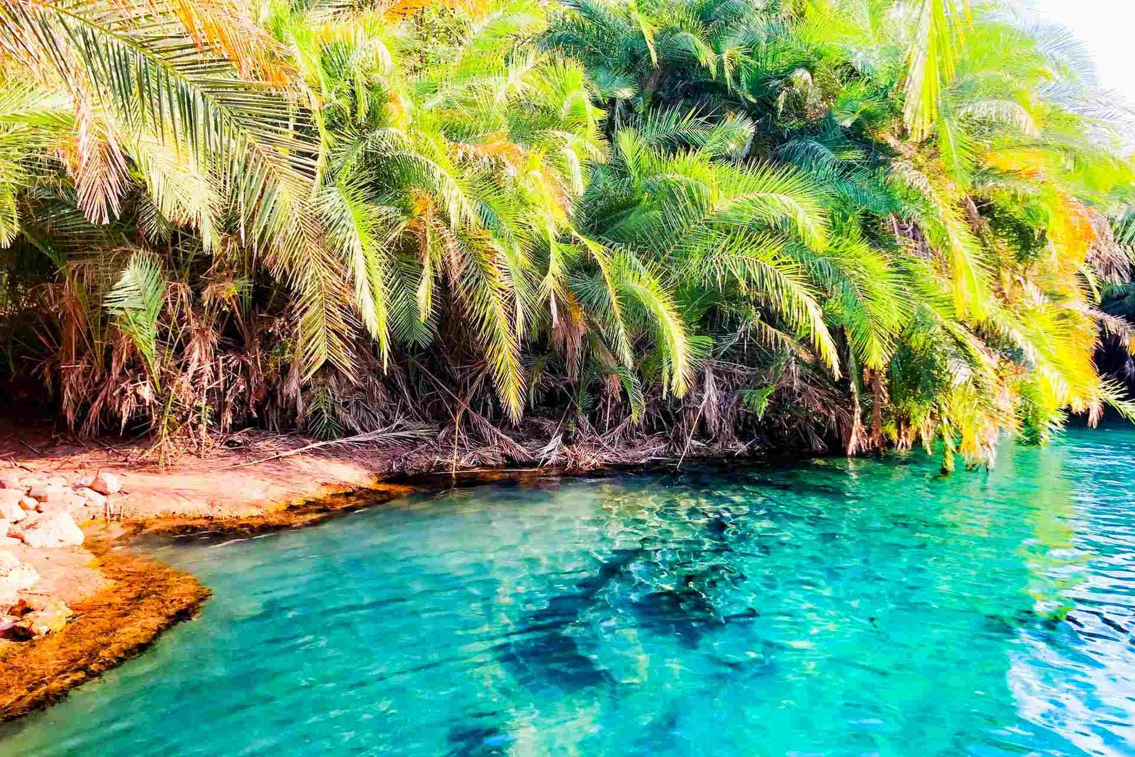 Chemka Hot Spring Tour