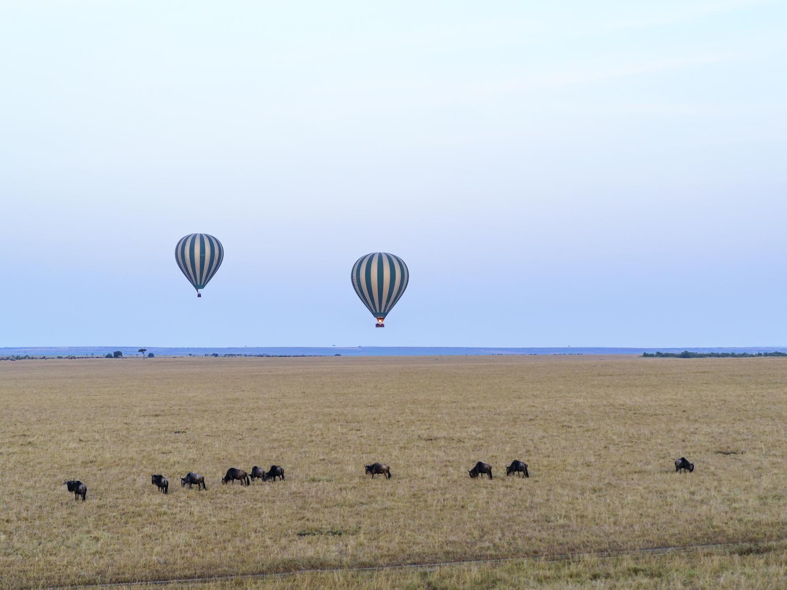 4-Day Balloon Safari