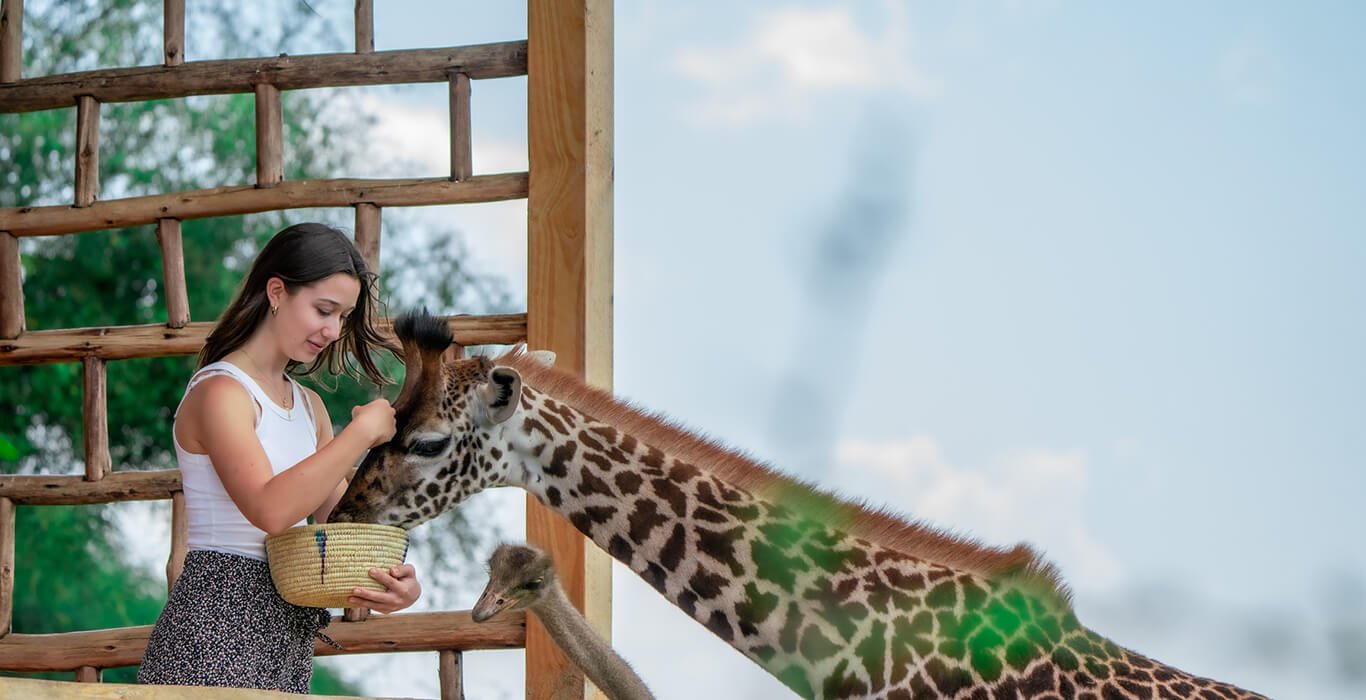 Africa Prime Experiences